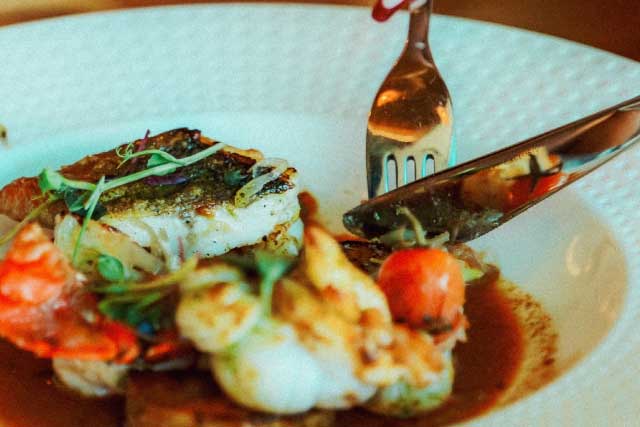 Accueil poisson amore